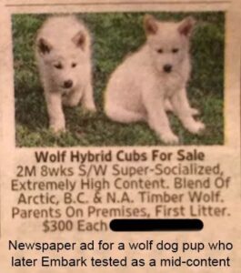 Wolf sales hybrid cost