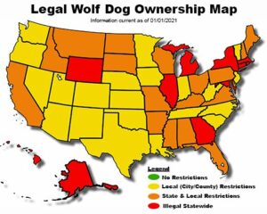 what states allow wolf dogs